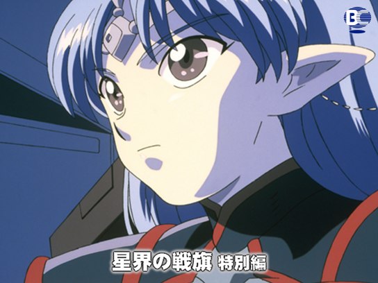 星界の戦旗 特別編